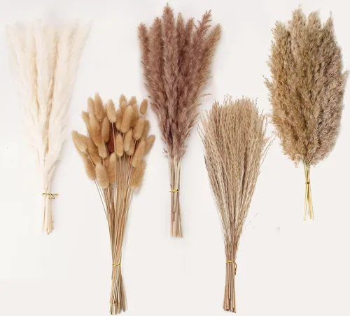 Miniatura 15 de Decoración de hierba de pampa seca natural, 100 piezas de hierba de pampa que contiene colas de conejo blancas flores secas, ramo de hierba de caña