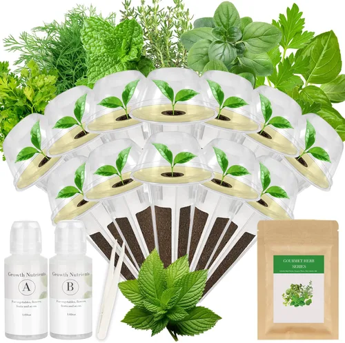 Miniatura 13 de Kit de cápsulas de semillas de hierbas gourmet para AeroGarden, idoo, Ahopegarden, MUFGA Hydroponics Garden con albahaca, perejil, tomillo, menta