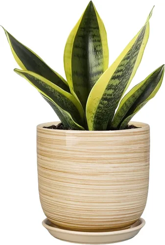 Miniatura 14 de Maceta de Cerámica para Plantas de Interior de 5 Pulgadas - Maceta Redonda para Plantas Suculentas con Agujero de Drenaje y Platillo, Decoración