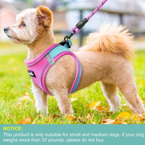 Miniatura 4 de haapaw - Arnés para perro con correa, arnés reflectante, ajustable y sin tirones para cachorros con chaleco acolchado para perros