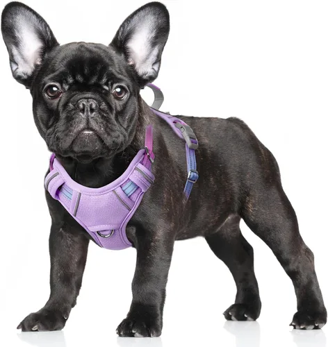 Miniatura 49 de BARKBAY Arnés para Perro Sin Tirones Talla Grande Arnés Reflectante para Perro con Clip Frontal y Asa de Control Fácil para Caminar Entrenar Correr