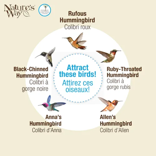 Miniatura 8 de Nature's Way Comedero colgante de vidrio para colibríes para decoración al aire libre, alimentador de néctar de capacidad de 25 onzas, 5 puertos