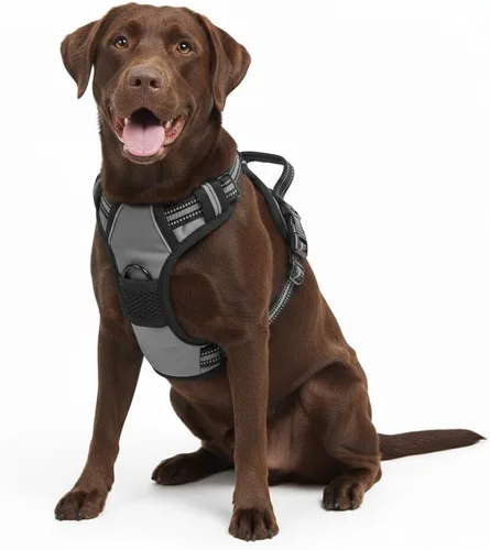 Miniatura 13 de Arnés para perro sin tirones, chaleco táctico verde XL, arnés extra grande de nailon 900D resistente con asas de fácil control, chaleco acolchado