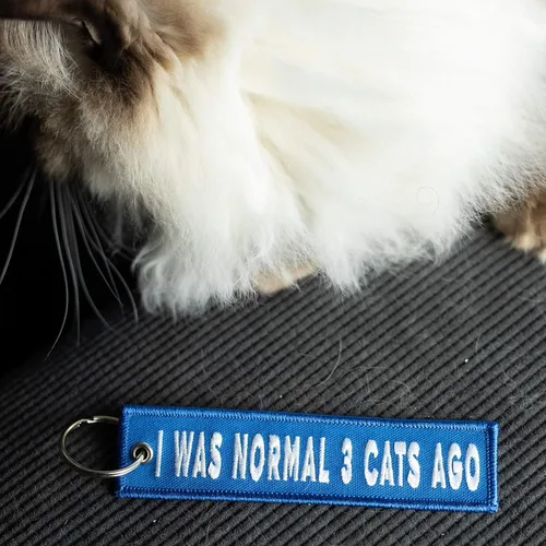 Miniatura 2 de Llavero de gato para llaves de coche, llaves de casa, amantes de mascotas y regalos
