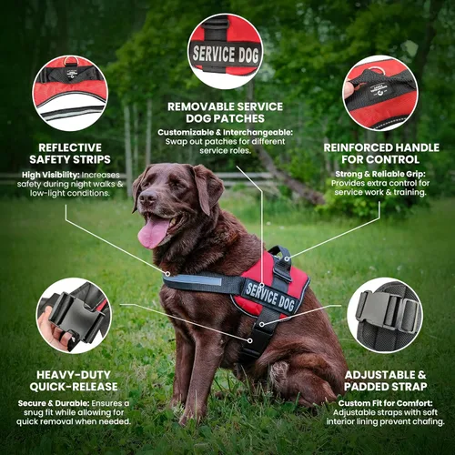 Miniatura 2 de Industrial Puppy Arnés de chaleco de apoyo emocional, chaleco duradero y ajustable para perro con correas reflectantes, parches extraíbles, asa