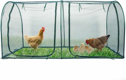 Gallinero portátil para gallinero, casa de aves de corral, red de jardinería al aire libre, recinto fácil de instalar para animales pequeños para