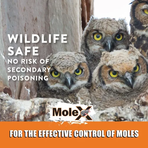 Miniatura 9 de MoleX - Pellets de cebo para control de roedores para topos, sin veneno, seguro para mascotas Pellets de uso en interiores y exteriores Bolsa