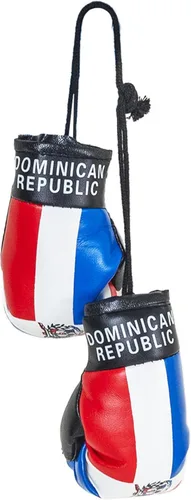 Miniatura 15 de SandT Collection Guantes de boxeo pequeños con bandera del país - Guantes de boxeo para colgar