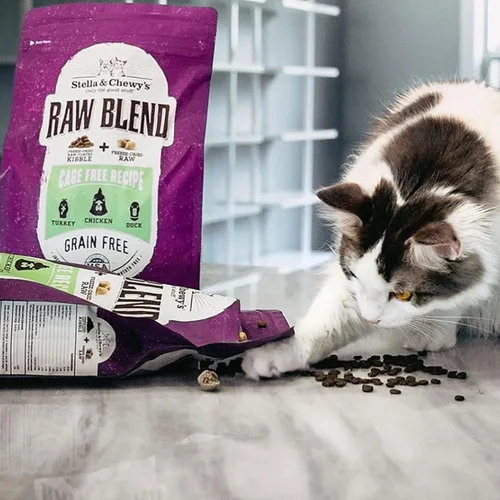 Miniatura 3 de Stella & Chewy's Raw Blend Premium Kibble Comida para Gatos – Sin Granos, Comidas Ricas en Proteínas – Receta de Aves de Corral Criadas en Libertad