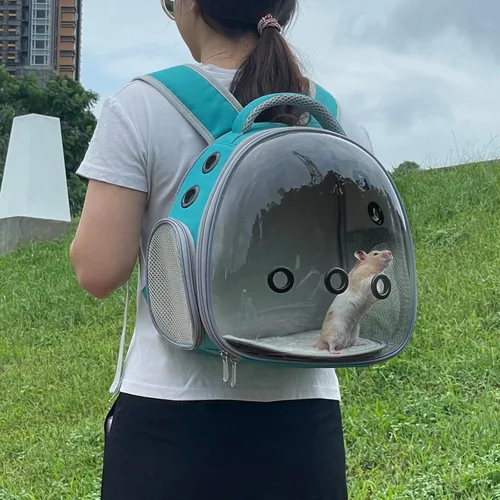 Miniatura 5 de Mochila portátil de viaje para mascotas, bolsa para hámster, conejillo de indias, pájaro, perro, gato, tortuga, transportador, jaula de conejo, Verde