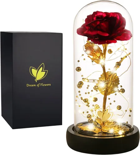 Regalos para mamá, decoración de San Valentín, rosas de La Bella y la Bestia con 40 luces LED, rosa en cúpula de cristal, rosas encantadas, flores