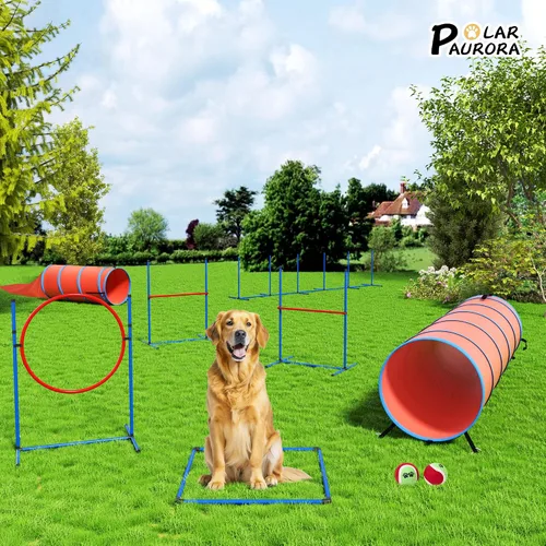 Miniatura 8 de Juego de equipo de entrenamiento de agilidad para perros, kit de entrenamiento de agilidad para carreras de obstáculos para cachorros, incluye 2