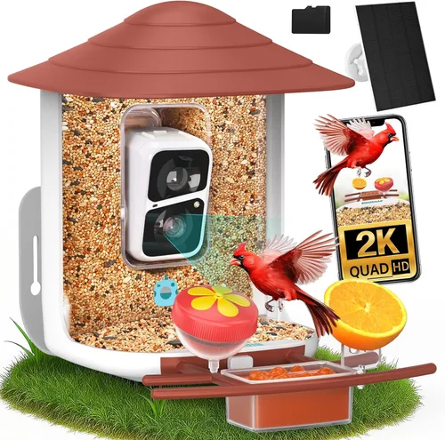Miniatura 13 de birdsnap® TUC - Comedero para pájaros con cámara 2K HD en vivo con tarjeta de 32 GB, detección y notificación automática de inteligencia artificial