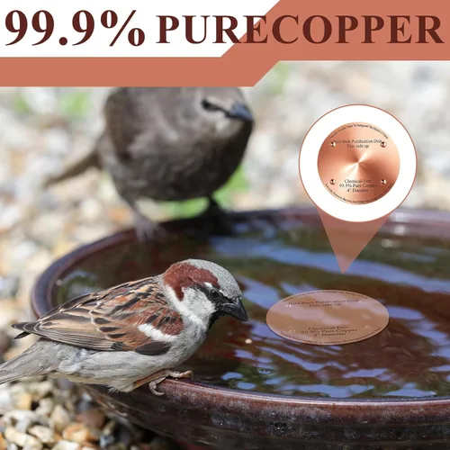 Miniatura 4 de MorningRo 4 discos de cobre para baño de pájaros de 4 pulgadas, 0.024 in de grosor, reforzado con 99.99% de cobre puro, disco de purificación