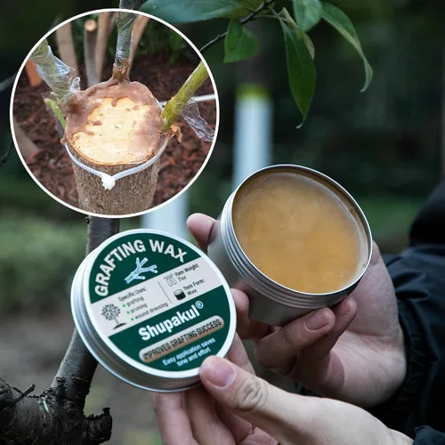 Miniatura 6 de Juego de cera para injerto de árbol, sellador de poda de heridas de árbol con cinta de sellado, cera de injerto para rosas, fruta, bonsái, arbustos