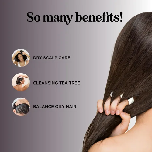 Miniatura 2 de Champú de árbol de té, Puro y Natural para Hombres y Mujeres, Cuidado anticaspa, Apto para cabellos teñidos, Hecho en Estados Unidos por Maple
