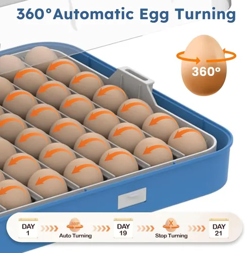 Miniatura 5 de Incubadora de huevos para incubar 70 huevos de pollo, pato, codorniz y ganso - Girador automático de huevos, control de humedad y temperatura, vela