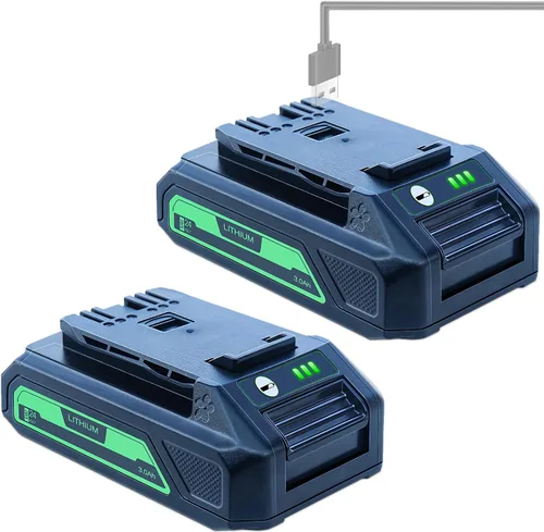 DTK 2 paquetes de repuesto de 3.0Ah para batería de 24 V 29842 29852 BAG709 BAG710 para compatible con herramientas 20352 22232 2508302 2 2 2