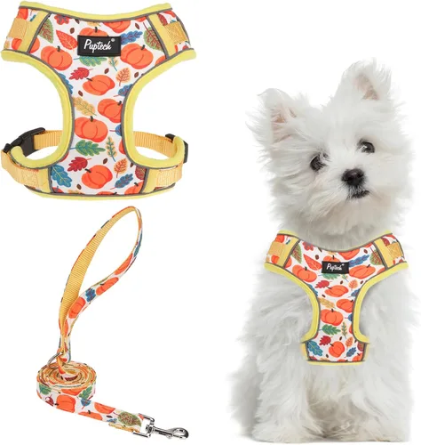 Miniatura 20 de PUPTECK Juego de arnés y correa para perro pequeño, arnés ajustable sin tirones para cachorro, chaleco de malla suave reflectante para mascotas
