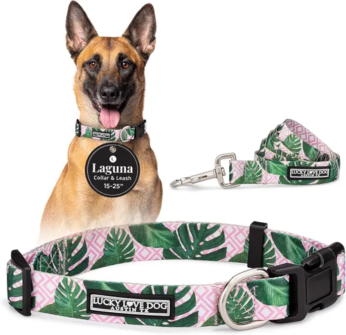 Miniatura 83 de Lucky Love Dog - Collar para perras pequeñas, diseño Blackbird de estampado alegre con flores de primavera y verano, talla XS
