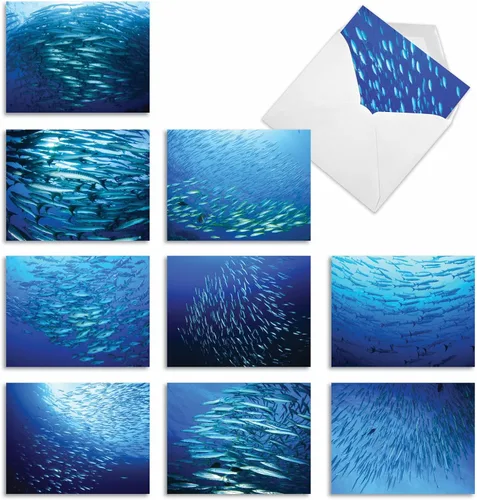 Miniatura 14 de The Best Card Company - 10 tarjetas en blanco para todas las ocasiones (4 x 5.12 pulgadas) - Surtido de tarjetas náuticas, oceánicas, de vida marina