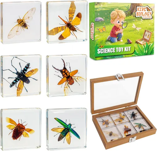 Miniatura 8 de Juego de muestras de insectos, colección de insectos, regalo educativo científico para niños de 3 a 8 a 12 años