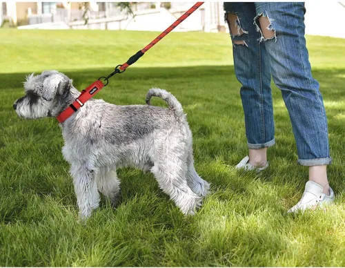 Miniatura 5 de haapaw Paquete de 2 collares de perro Martingale con hebilla de liberación rápida reflectantes, collares de entrenamiento para perros pequeños, Negro