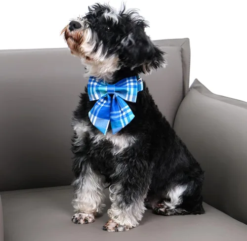 Miniatura 4 de DOGWONG Collar de perro de algodón a cuadros azules, collar de algodón para perro con lazo, lindo collar de perro para perros pequeños, medianos
