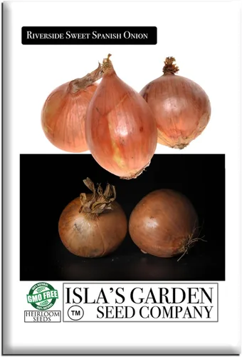 Riverside Sweet Spanish Onion Seeds (Allium cepa) – Más de 300 semillas tradicionales sin OMG de Isla's Garden Seeds, bombillas grandes suaves de