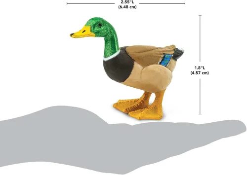 Miniatura 3 de Safari Ltd. Figura de pato real pintada a mano, realista de 3 pulgadas, juguete educativo divertido para niños, niñas y niños a partir de 3 años