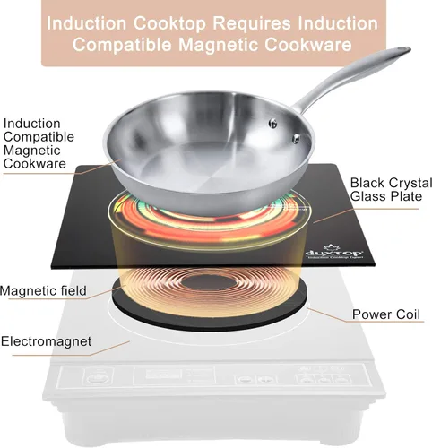 Miniatura 6 de Duxtop. Calentador de comida de inducción portable, de mesada, 1800 vatios, Dorado