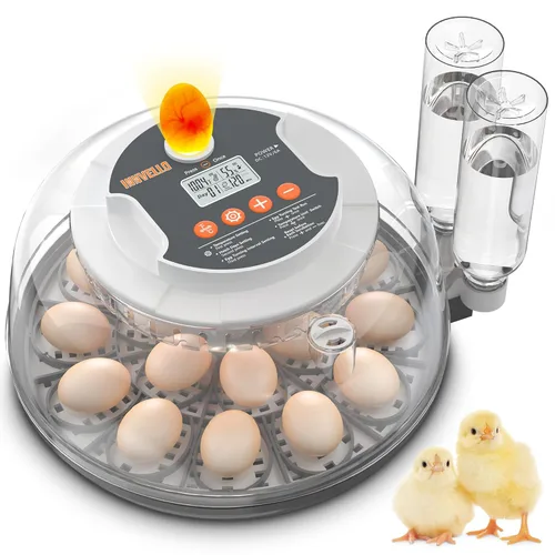Incubadora automática de huevos de 18 huevos para incubar huevos, incubadora de huevos de gallina con giro automático de huevos, control de humedad