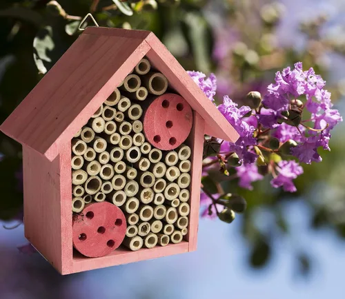 Miniatura 10 de Cestari Bamboo Tube Bee Hotel para abejas solitarias - Atrae polinizadores suaves a tu jardín con una abeja de madera segura certificada FSC
