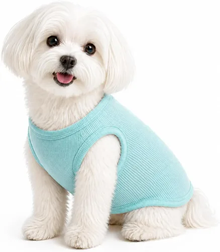 Miniatura 63 de Lovelonglong Ropa para mascotas de verano 2019, ropa para perro, camisetas en blanco, camisetas acanaladas, chalecos de hilo superior para perros
