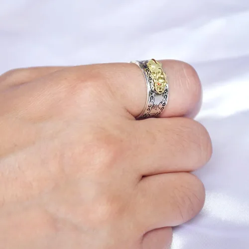 Miniatura 2 de Anillo ajustable para protección de mantra de Feng Shui PiXiu MANI, Metal, no conocido