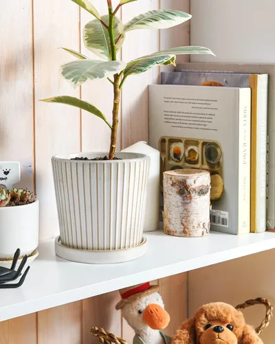 Miniatura 3 de LE TAUCI Macetas de cerámica para plantas, macetas de 5.4 pulgadas con orificio de drenaje y platillo, macetas de interior para suculentas, plantas