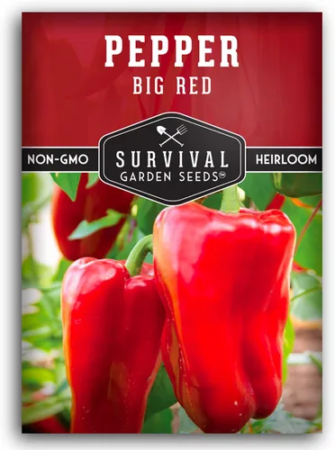 Semillas de pimiento rojo grande para plantar | Pimientos rojos tradicionales de pared gruesa – Polinizado abierto sin OMG – Semillas de jardín de