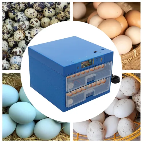 Miniatura 4 de Incubadora de 128 huevos con giro automático de huevos y control de humedad, incubadoras de uso general de 2 capas para incubar huevos con giro
