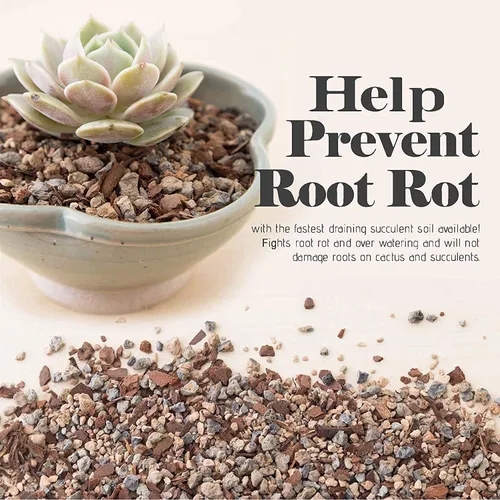 Miniatura 3 de Bonsai Jack Tierra para suculentas, cactus y bonsái - Mezcla arenosa de Jack - 1 galón – Drenaje rápido – Combate la pudrición de la raíz – pH