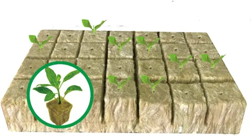 MI0512 Tapones de arranque de lana de roca de 1.5 pulgadas para hidroponía, cubos de cultivo de lana de roca, 1 hoja de 28 tapones (pequeño)