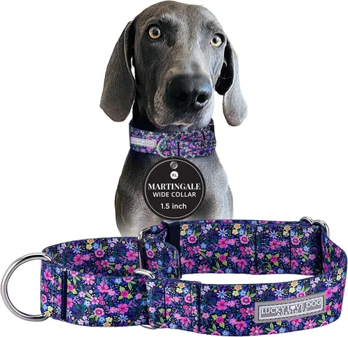 Miniatura 29 de Lucky Love Dog Collar Ancho para Perros - Collar Ajustable, Duradero, Tejido Suave y Cómodo de 1.5 Pulgadas de Ancho para Perros Machos y Hembras