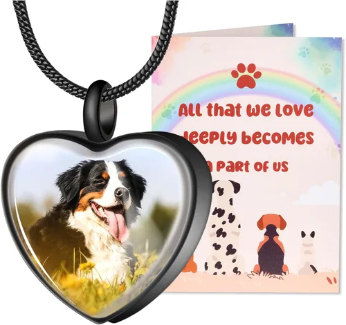 Fanery Sue Collar para cenizas de mascotas, joyería de cremación, imagen personalizada y cita, regalos conmemorativos por pérdida de perro/gato,