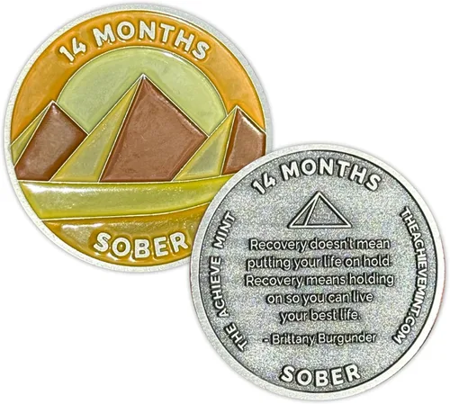 Miniatura 27 de Ficha sobria de 8 meses Chip sobrio de ocho meses Regalo no AA, medallones no religiosos para hombres y mujeres que celebran la sobriedad