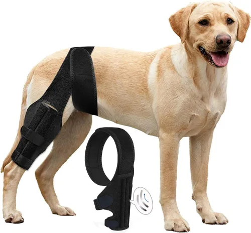 L - Soportes para patas de perro para la pierna trasera para apoyo con lesiones del ligamento cruzado, mejor recuperación con rodillera de perro