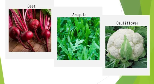 Miniatura 5 de Semillas Premium de Vegetales de Invierno para Plantación, Semillas Orgánicas, No Transgénicas, Autóctonas, 12 Variedades: Rábano, Guisante