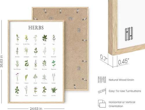 Miniatura 3 de HAUS AND HUES Imágenes de hierbas para arte de pared de cocina, impresiones botánicas y collage de hierbas para decoración de núcleo de cabaña Marco