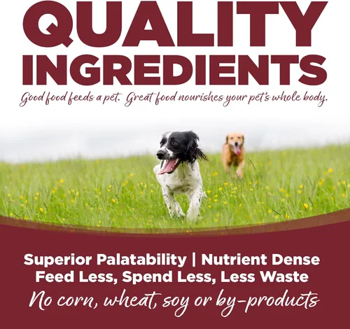 Miniatura 4 de NutriSource Alimento seco para perros, carne de res y arroz, 4 libras
