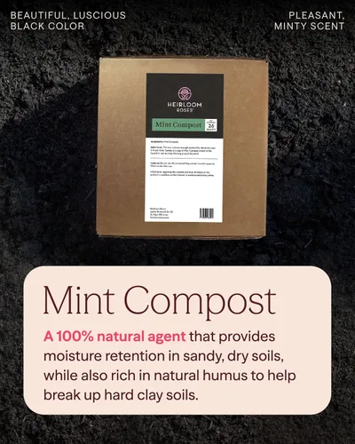 Miniatura 2 de Heirloom Roses Compost de menta, 100% natural, enmienda superior del suelo para plantar rosas, rico en micronutrientes y nitrógeno para verduras