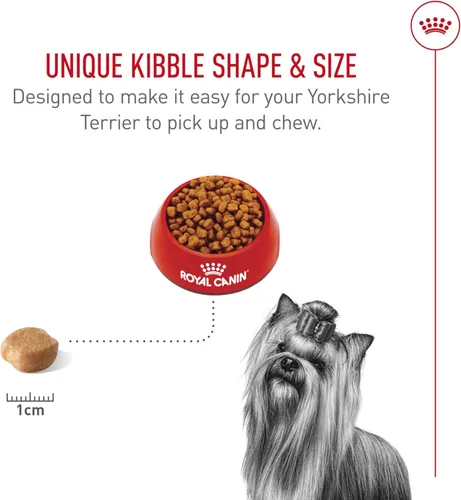 Miniatura 5 de Royal Canin Breed Health Nutrition Yorkshire Terrier - Alimento seco para perros adultos, bolsa de 2.5 libras
