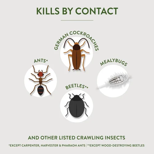 Miniatura 3 de Garden Safe Asesino de insectos rastreros de marca que contiene tierra de diatomeas, 4 libras, mata cucarachas, hormigas y otros insectos